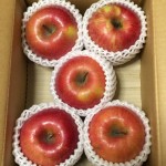 イーサポートリンクからりんごの株主優待です