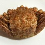 ふるさと納税 北海道紋別市から毛ガニをいただきました。