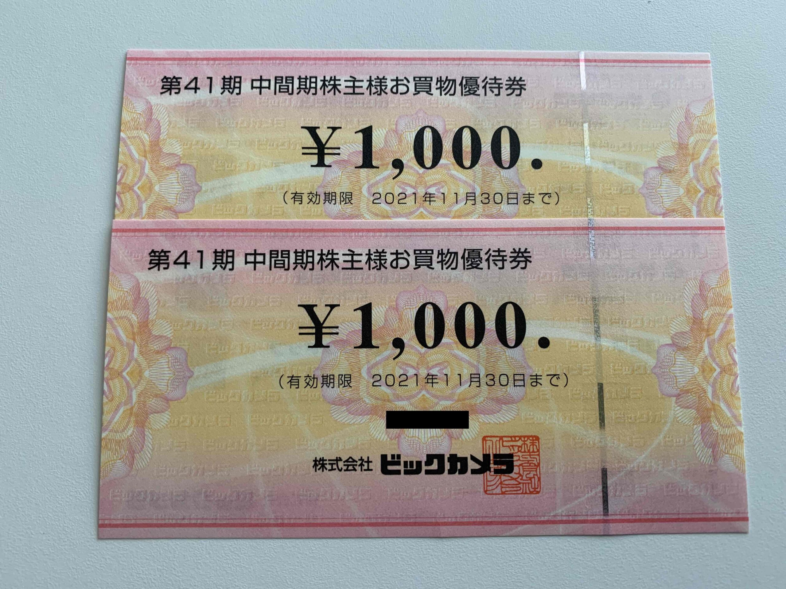 5000円分 ビックカメラ 株主優待券 | www.esn-ub.org