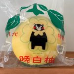 パイオラックスの株主優待 カタログギフト「グルメ倶楽部」なかなか良いです