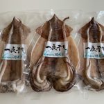 おすすめ! 国東市にふるさと納税 肉厚スルメイカ一夜干し 3尾!
