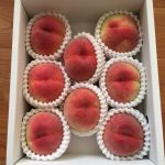 マクニカ富士エレHDから株主優待 3,000円相当のカタログギフト