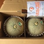 ベルグアースの株主優待 今年は千葉県産のメロンでした!