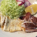 琴浦町にふるさと納税 「海の幸 今朝どれ!おまかせ鮮魚・干物セット」