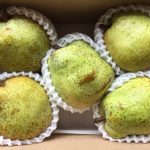 富士川町へのふるさと納税 大きくて美味しいラ・フランスをいただきました